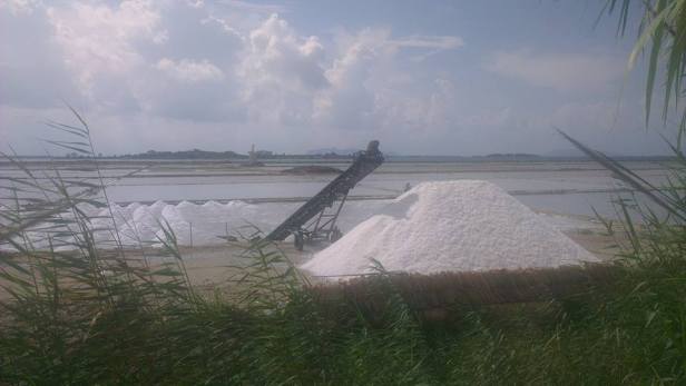 11822508_10153080560233786_7420456769638950629_n