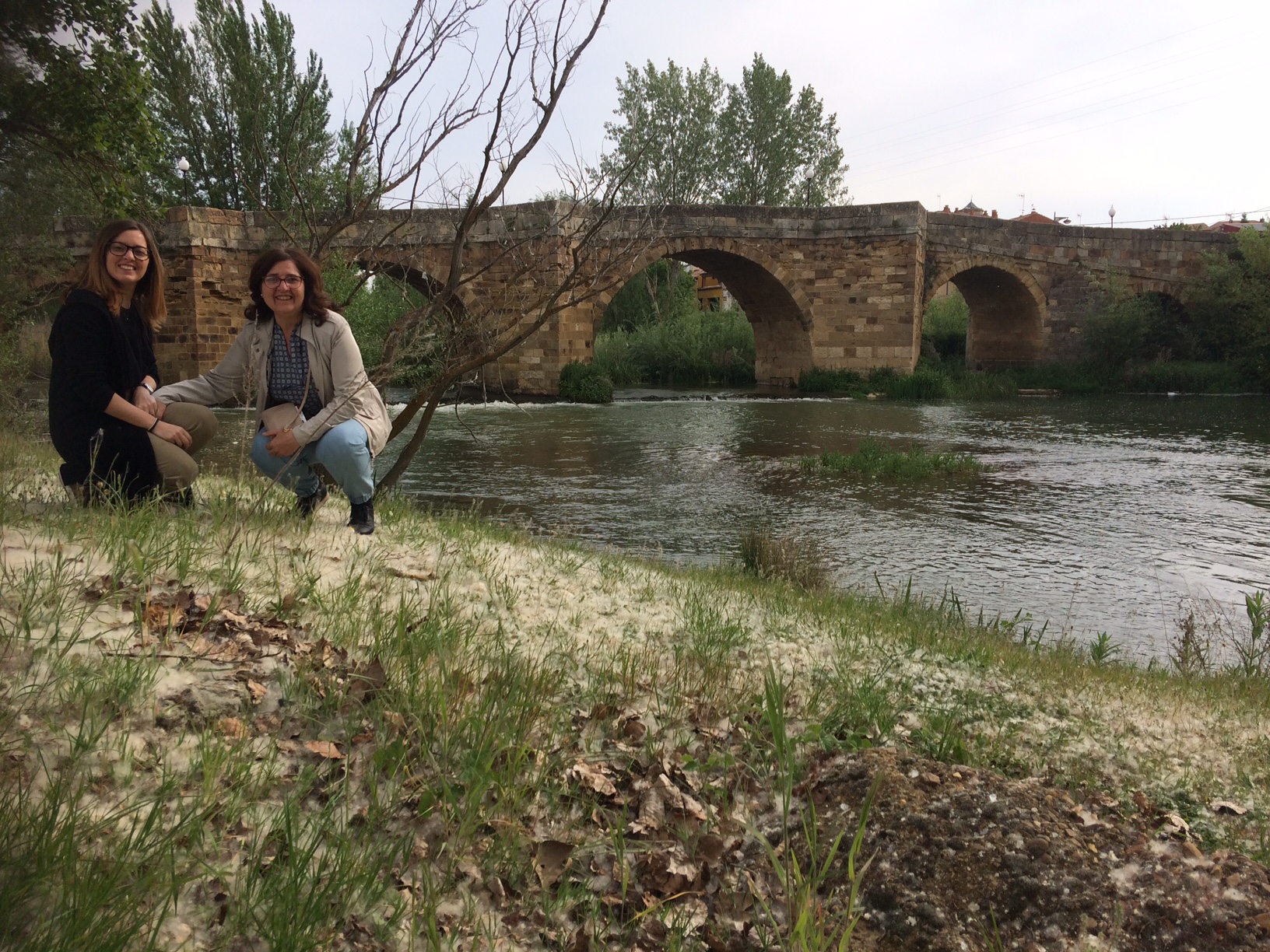 A1CEC8FC-380F-4C8C-9DBC-F242B3CD2B86